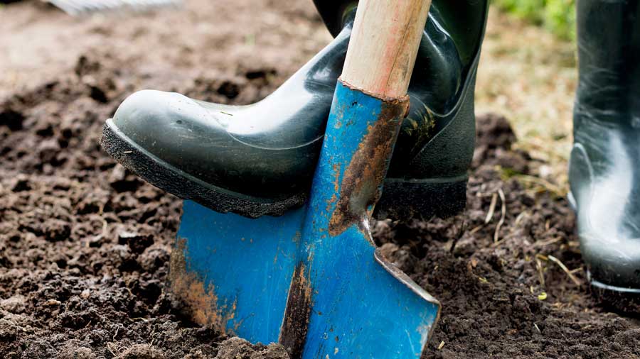 Gardener digs in the soil with a spade
