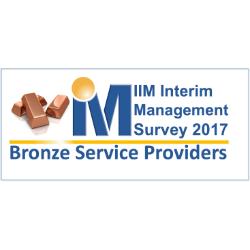 interim management bronze provider