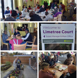 Limetree Court