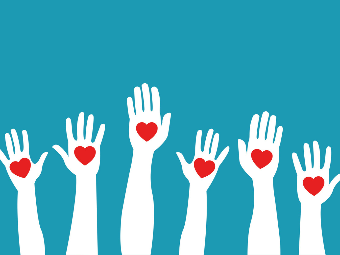 Season's Greetings! Each year, the CT team nominate several charities to give to in place of sending Christmas cards by post. This year we're really pleased to support the brilliant work of Cruse Bereavement Support, Marine Conservation Society, Cancer Research, and Wateraid for our seasonal donations and our Charity Partners, The Trussell Trust and Friends of the Earth.