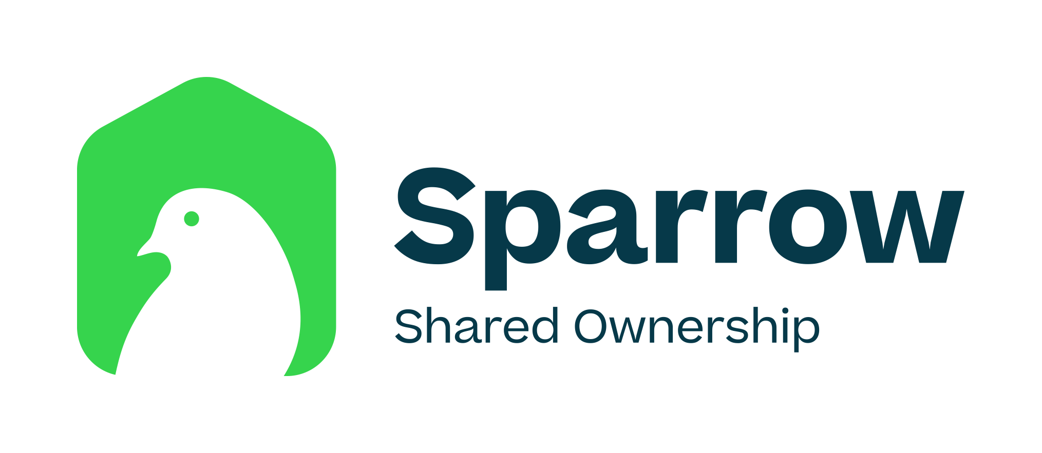 Independent Non-executive Director